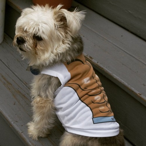 Donut Muscle Tee Fetch Dog Fashions1